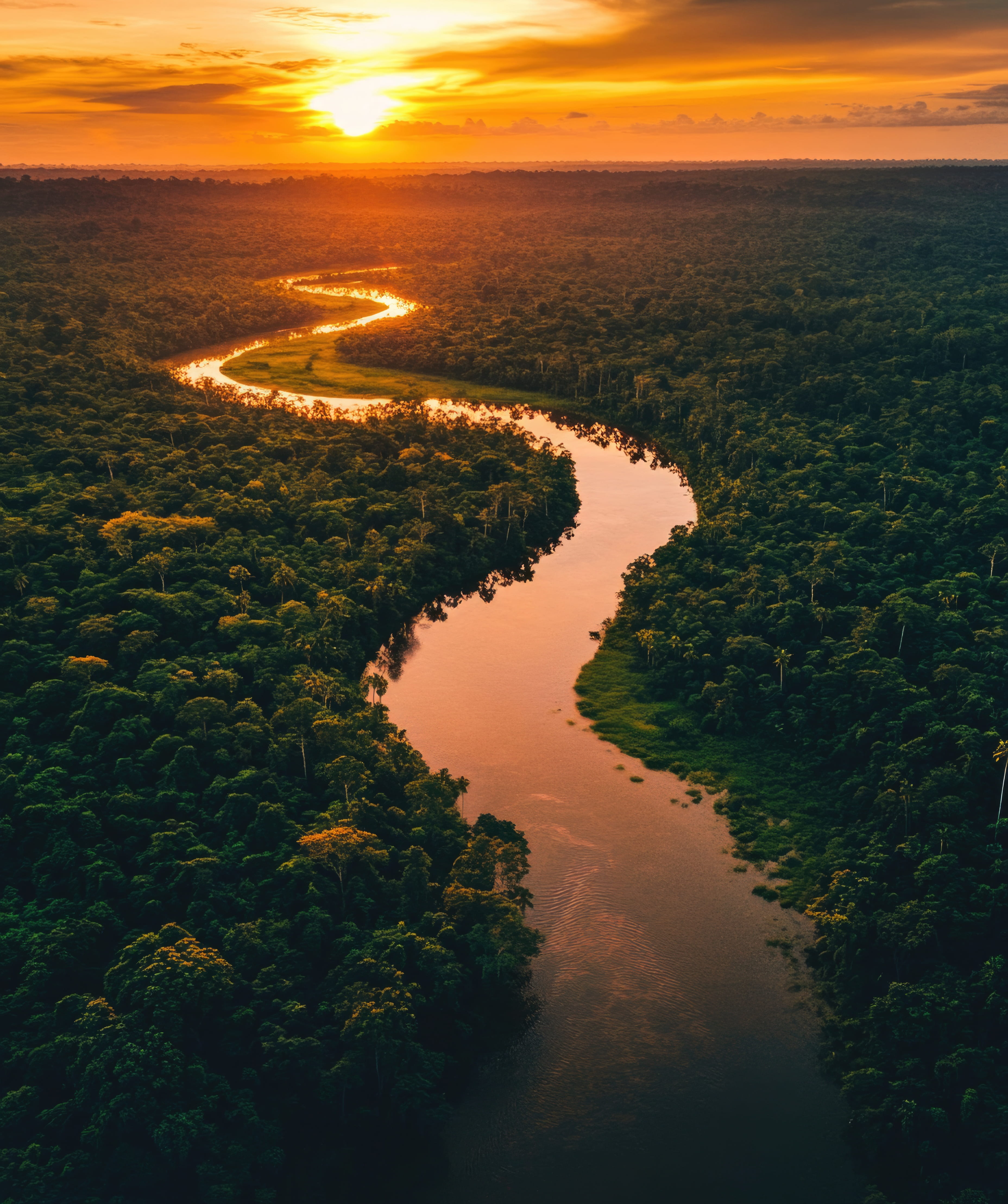 Amazônia